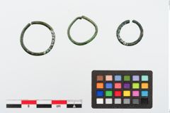 Foto von Bronzering (NHMW-PRAE-024306)